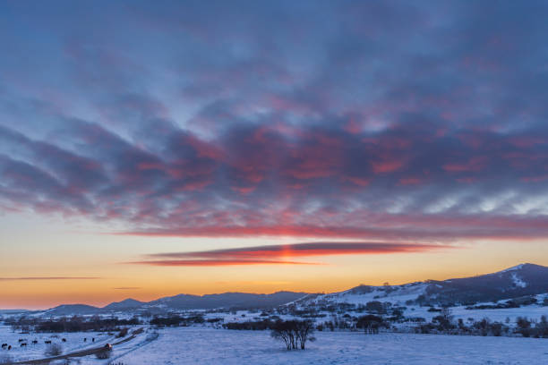 Scaly cloud burning in the light of setting sun