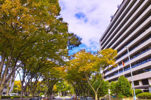 A view of the Aichi Prefectural Government Center in Kokan-gai, Naka-ku, Nagoya City during autumn foliage season