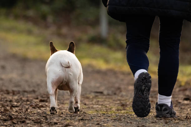 Person Walking Outdoors With Small Pug Dog on a Quiet Path in Nature