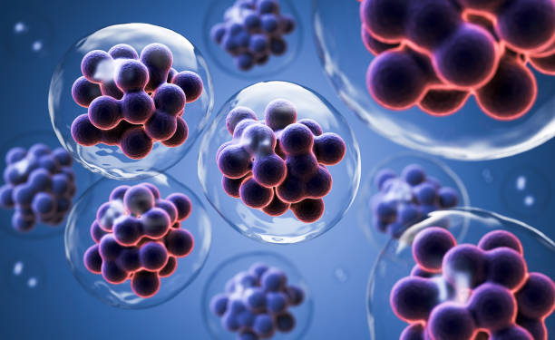 istock Embryonic stem cell or Human cell 3d illustration. 2190319185