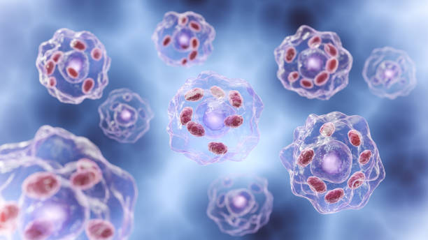 istock Human embryo cell on scientific background 3d illustration. 2190319195