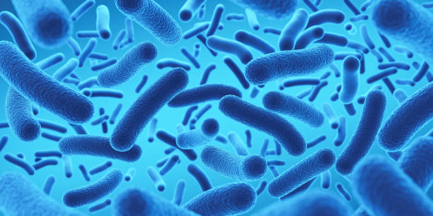 istock Lactobacillus bacteria, probiotic medical background 3d illustration. 2190319198