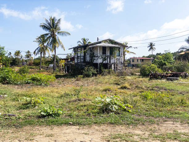 Berbice, Guyana - Abandoned and Overgrown House