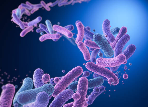 istock probiotic medical background bacteria, Lactobacillus , 3d illustration. 2190321122