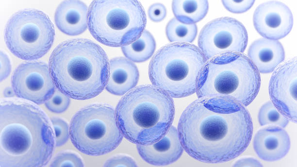istock 3d rendering of Human cell or Embryonic stem cell microscope background. 2190321160