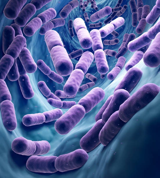 istock Microscopic of Probiotics Bacteria, lactobacillus bacteria 3d illustration. 2190323276