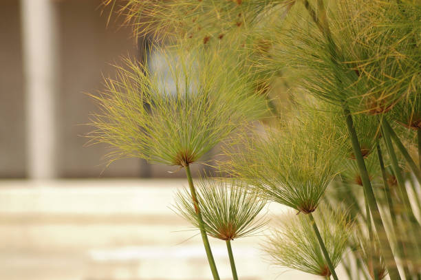 istock Nature in the city 2190324257