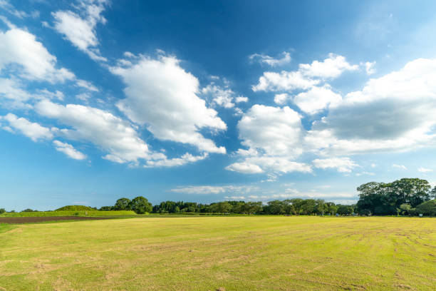 Vast Blue Sky Over Peaceful Farmland