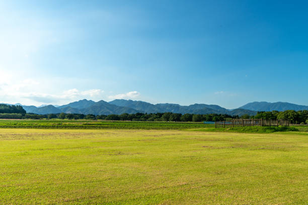 Vast Blue Sky Over Peaceful Farmland