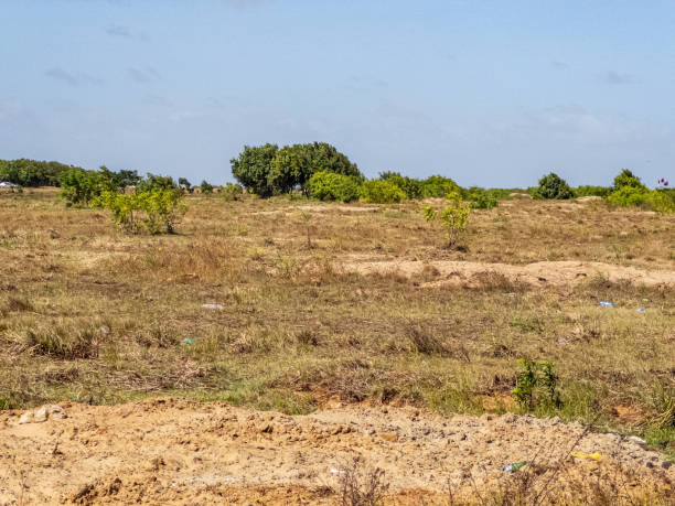 istock Berbice, Guyana, Natural Landscape near Beach #63 2190326447