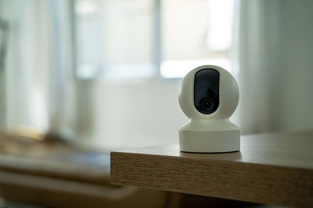 istock home security camera Smart CCTV cameras detect your beloved cat for safety. 2190327452