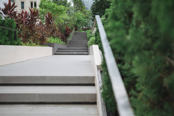 outdoor steps amidst lush greenery, illustrating how modern architecture integrates natural elements for sustainability
