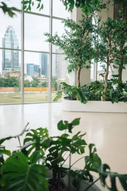 istock Green plants incorporated into contemporary building design for sustainability 2190328178