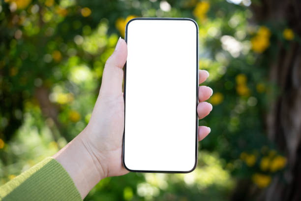 istock Smart phone mockup. Women hands holding cell telephone blank copy space screen smartphone blank white screen isolated technology concept. 2190332414