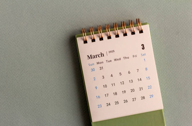 Desk calendar for March 2025 on a gray background.