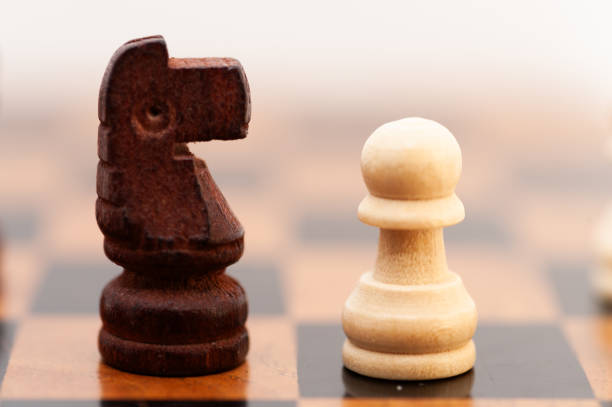 A wooden chess piece with a black head and a white body is placed on a checkered board