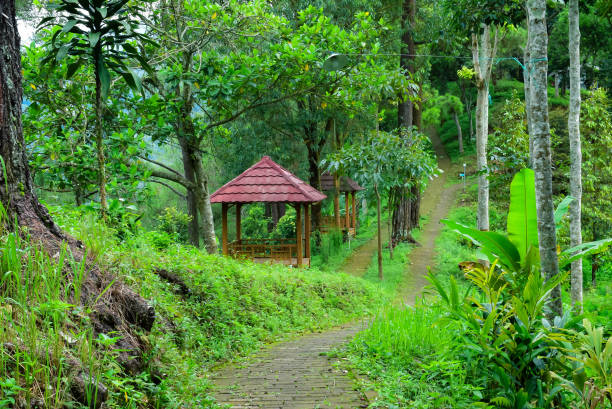 istock Serene Forest Path with Scenic Gazebos Among Lush Greenery 2190343511
