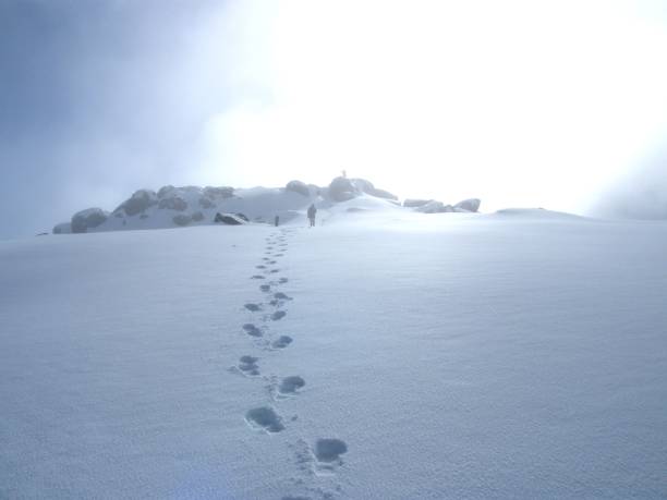 istock Footprints leading to a snowy mountain peak under a bright sun. 2190351717