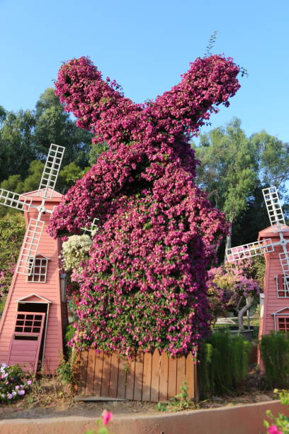 istock A large purple plant is growing on top of a windmill 2190357742