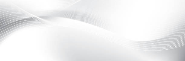 istock Abstract  white and gray color, modern design stripes background with curve lines. Vector illustration. 2190366058