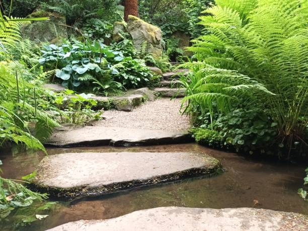 istock Japanese style stepping garden stones over river with Ferns 2190367705