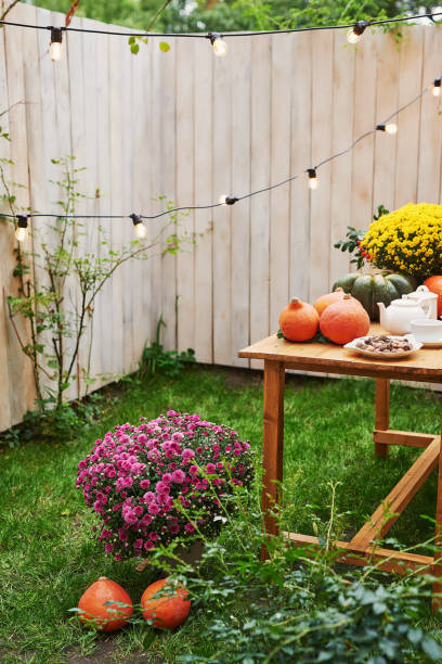 istock A woman in an autumn garden 2190368736