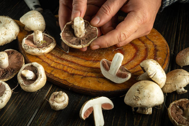 Hands are skillfully slicing and preparing fresh mushrooms on a wooden cutting board surrounded by a variety of freshly picked fungi. The warm ambiance of the kitchen enhances the experience