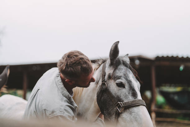 istock Man at the horse ranch 2190376102