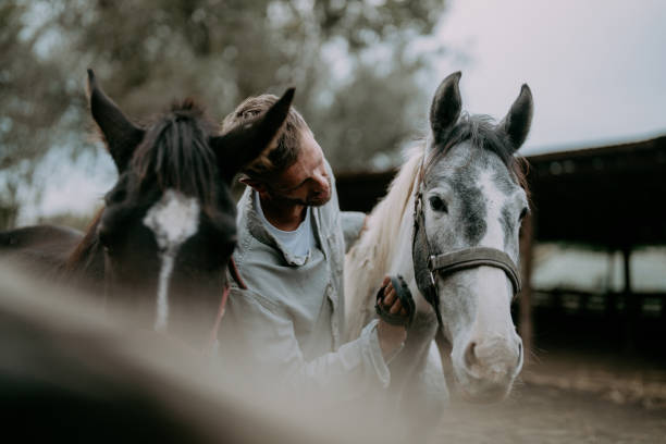 istock Man at the horse ranch 2190376108