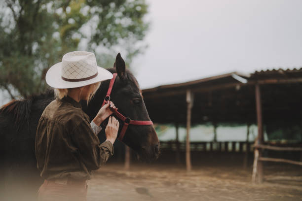 istock Gentle moment between a woman and her horse 2190376118