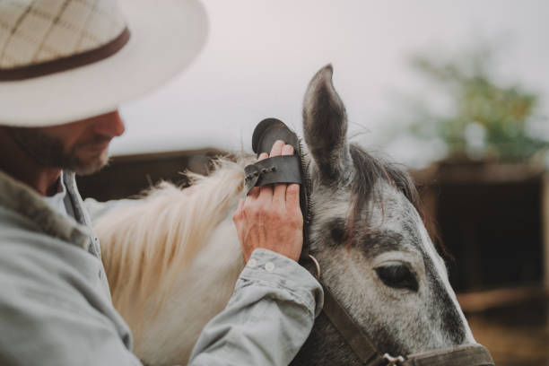 istock Man at the horse ranch 2190376146