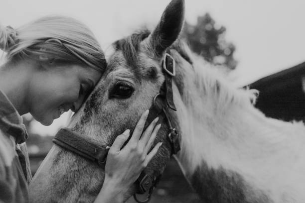 istock Gentle moment between a woman and her horse 2190376180