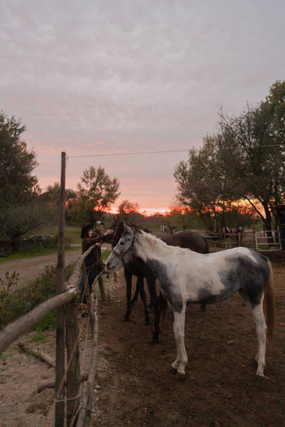 Photo of mid adult, heterosexual couple at their horse ranch, proudly looking at their beautiful horses
