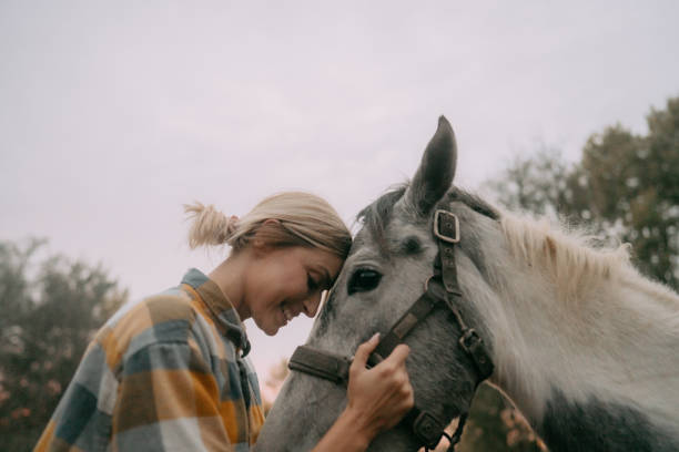 istock Gentle moment between a woman and her horse 2190376187