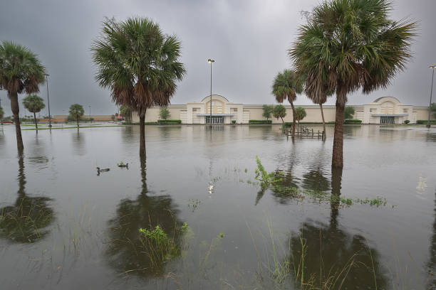 istock Heavy rains transform a mall parking lot into a flooded landscape, with two ducks swimming 2190376400