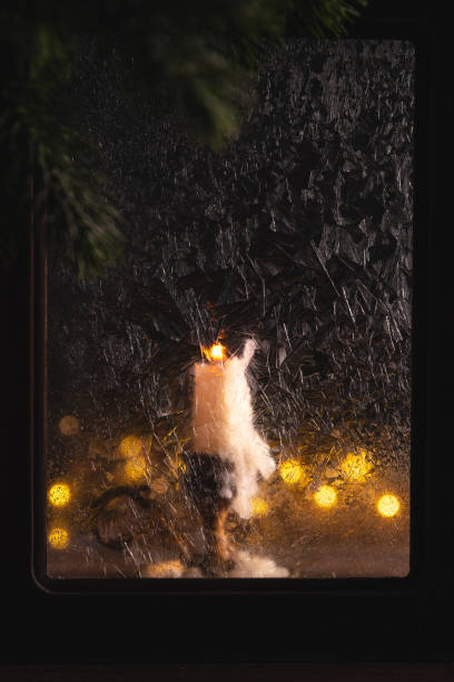 istock Burning candle and christmas lights create a warm glow behind a frosted window, evoking a cozy and festive atmosphere on a cold winter night 2190378728