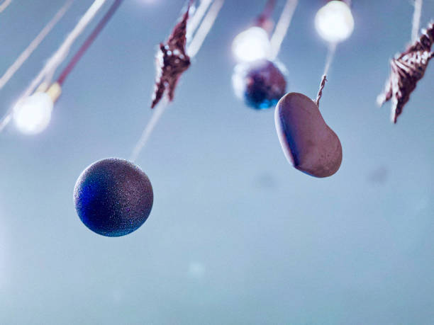 Showcasing delicate hanging ornaments, including glittery spheres, heart shapes, and small textured decorations suspended by strings under soft glowing lights. The muted blue background complements the festive and dreamy atmosphere.