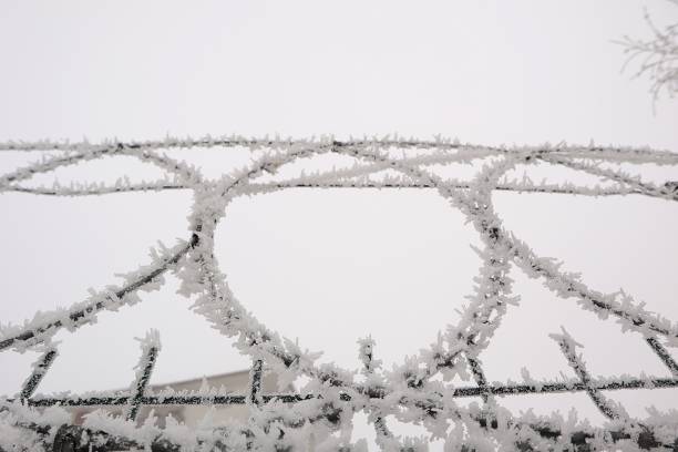 Sharp barbed wires covered in crystal-like ice, creating a chilling scene. Behind the wires stands a building resembling a prison, evoking feelings of confinement and harsh winter conditions.