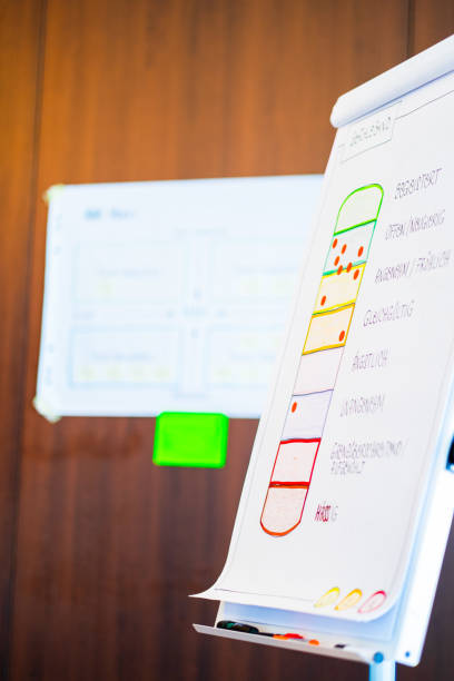 three colorful magnets on white surface with aligned horizontally copy space above on a clean white backdrop