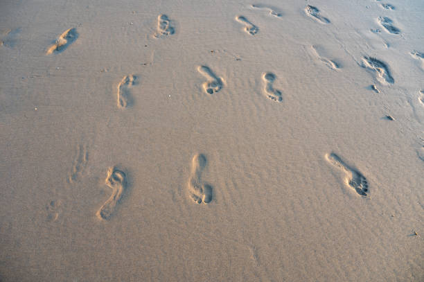 Many footprints in the wet sand by the sea, in the evening light