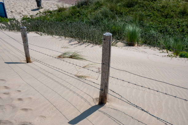 istock Barbed wire fence in the sand dunes 2190396692