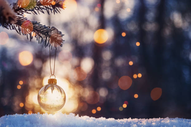 istock Transparent Christmas ball on snow-covered fir tree on sunset 2190400139