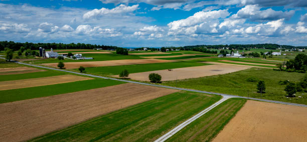 istock Fields Stretching Under a Blue Sky With Clouds in a Rural Landscape During Daytime 2190401804