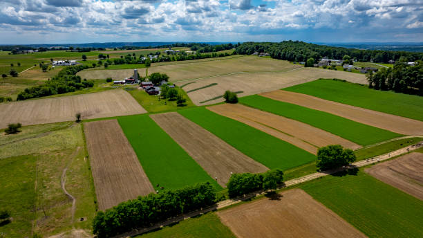 istock Fields Stretching Under a Blue Sky With Clouds in a Rural Landscape During Daytime 2190401819