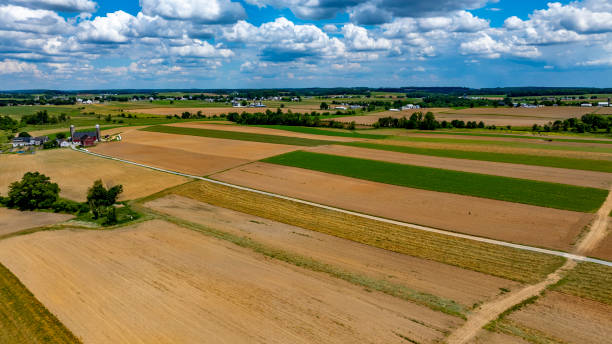 istock Vibrant Farmland Landscape Under a Blue Sky With Fluffy Clouds in Summer 2190401890