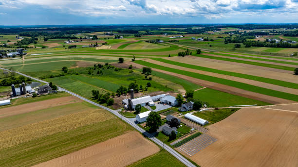 istock Rolling Green Fields and Farm Buildings Under a Clear Sky in Rural America 2190401900