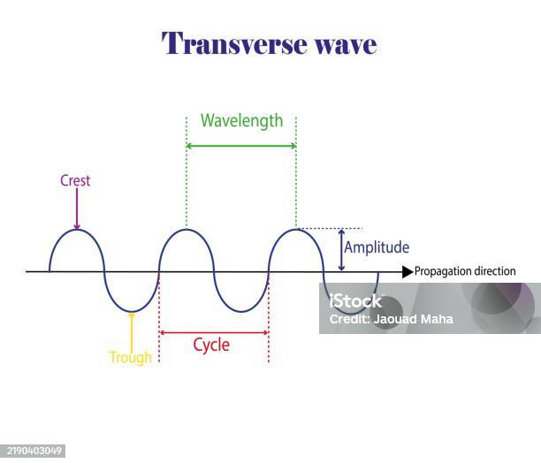 Wavefront In Transverse Wave Transverse Wave In Physics Study Content For Science Students Stock ...