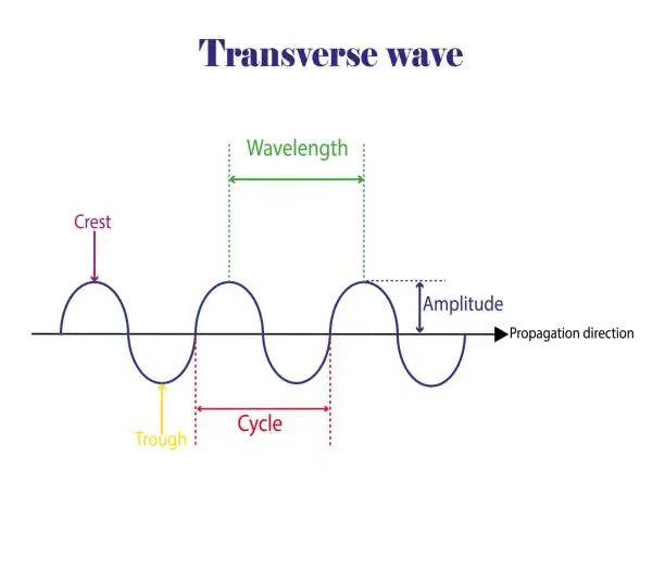 Transverse Method Free transverse process Vector Images & Graphics | FreeImages