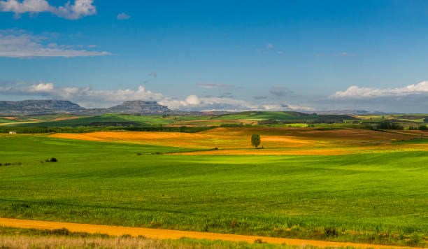 istock Fields, towns, villages, and rivers of the Pyrenees 2190405314
