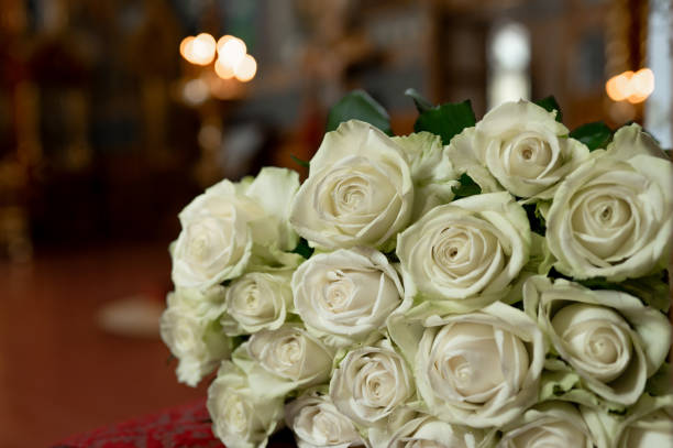 large bouquet of white roses close-ups on a bokeh background